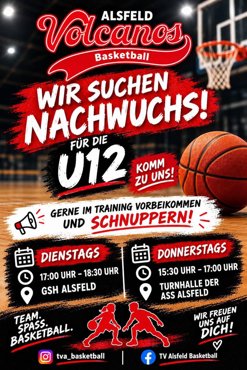 Flyer U12
